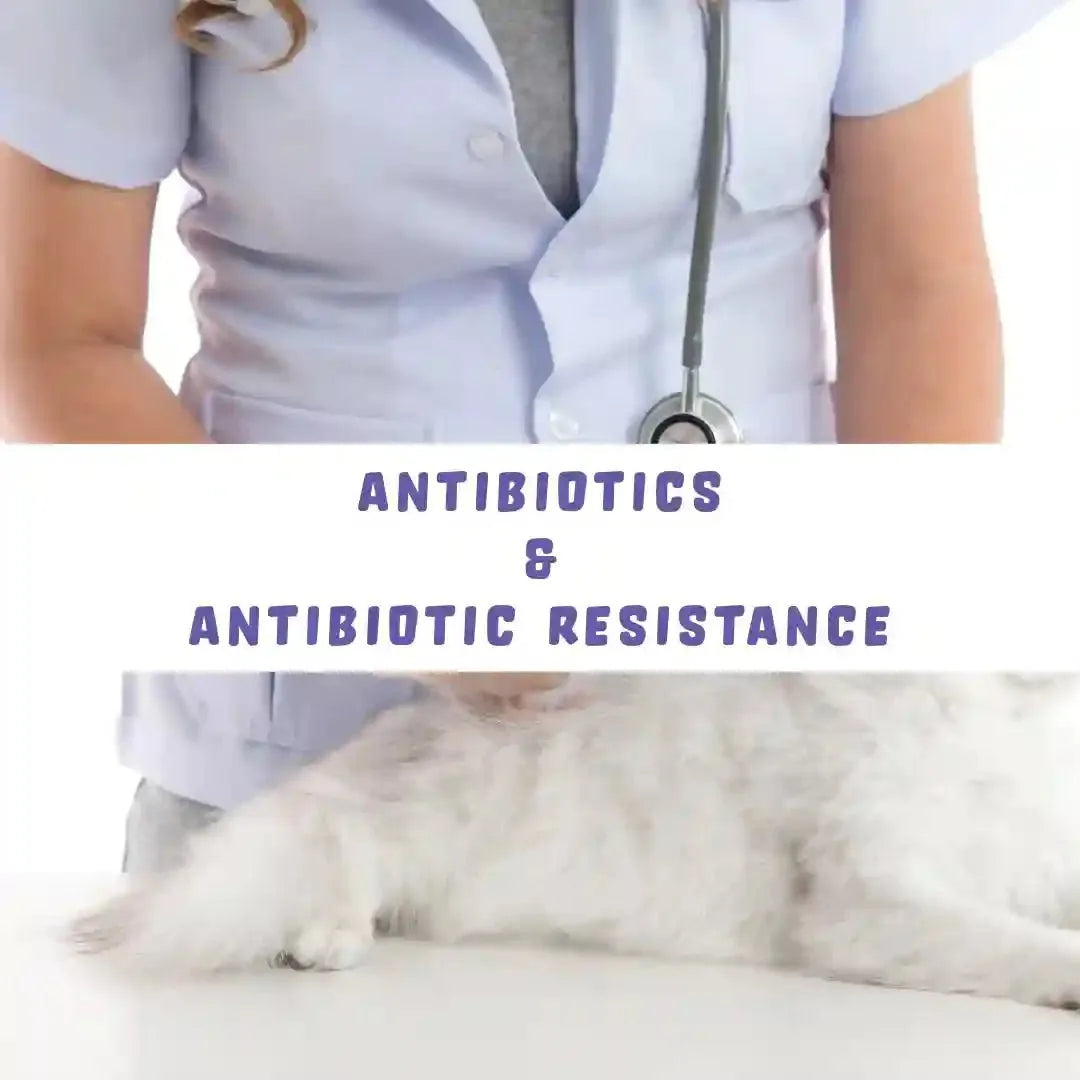 Antibiotics & Antibiotic Resistance