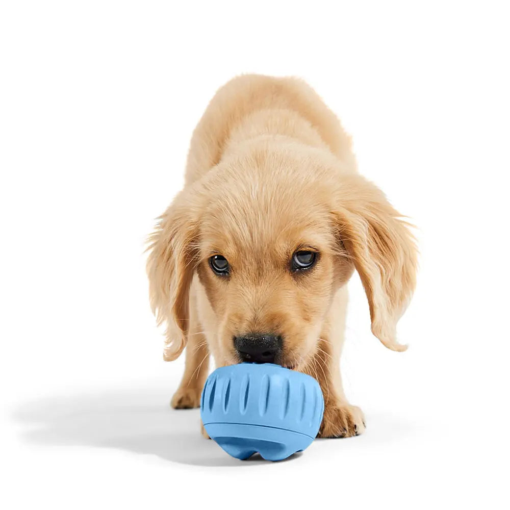 Woof Pupsicle Treat Toy