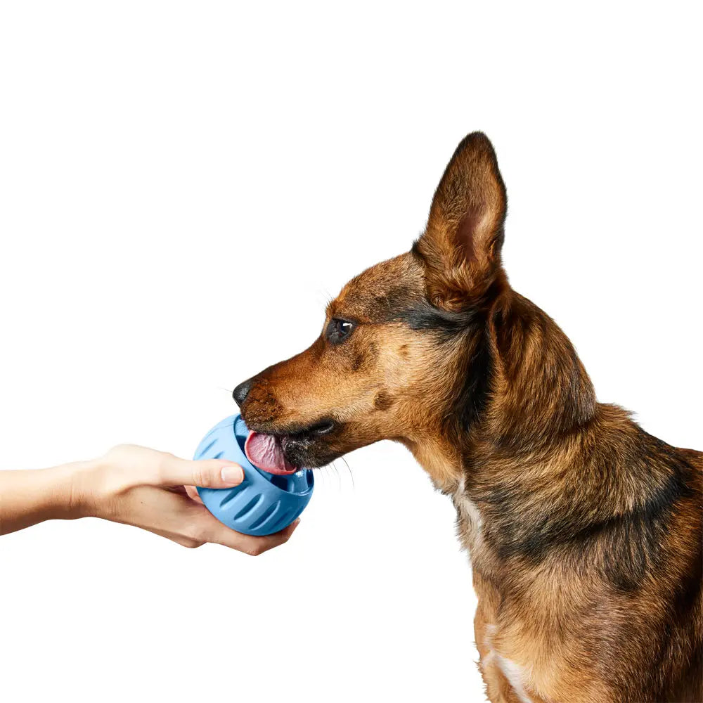 Woof Pupsicle Treat Toy