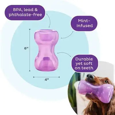 Orbee-Tuff Snoop Interactive Treat-Dispensing Dog Toy