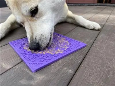 SodaPup Bones Design Enrichment Lick Mat