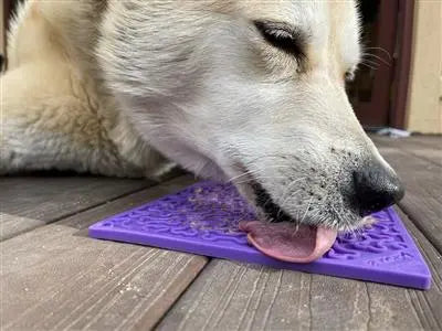 SodaPup Bones Design Enrichment Lick Mat